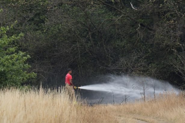 Counties in England are set to be roasted with 25C highs across the country in and around September 25, according to WX Charts.