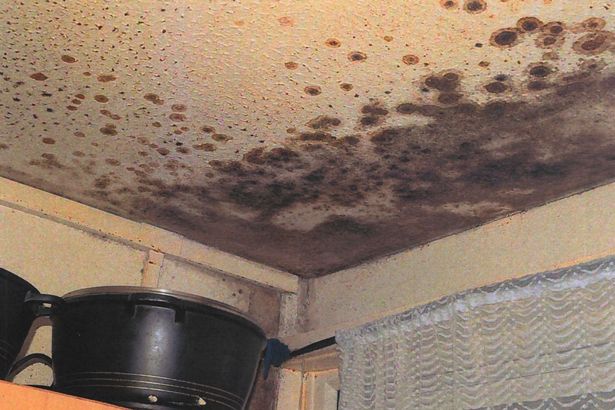 Mould in the kitchen shortly after Awaab's death
