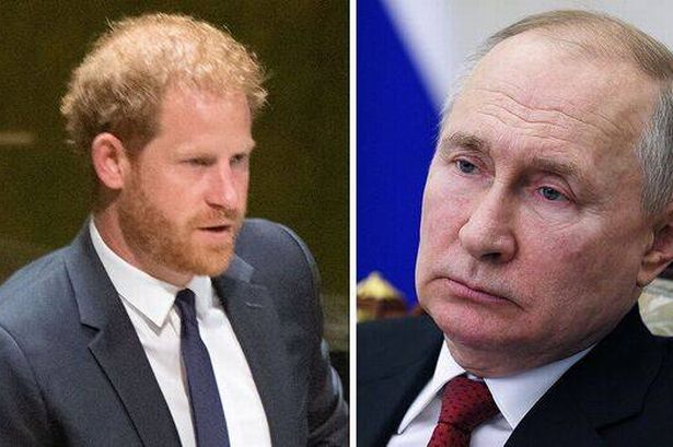 prince harry vladimir putin donald trump