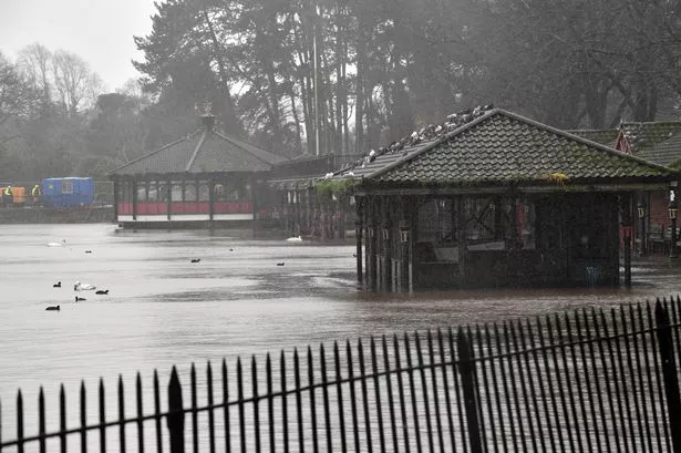 Flooded park