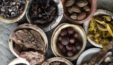 A new 'Ayurveda Ahaara' category for FSSAI licence—food from classical literature