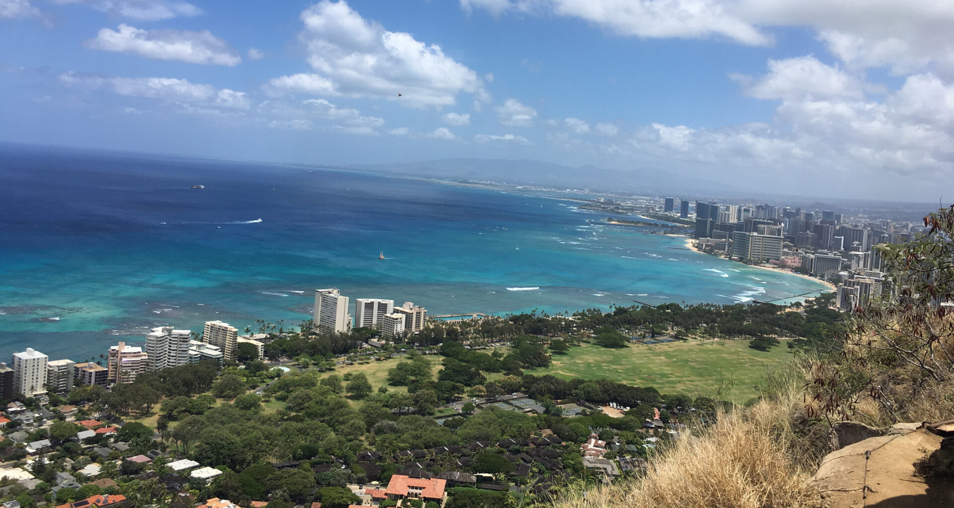 A panoramic view from a high vantage point overlooking Honolulu. The turquoise Pacific Ocean stretches to the horizon, meeting the city skyline and Waikiki beach. A large green park and lush trees sit between the coast and the foreground hillside.