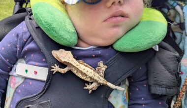Bramley: Brave Zoe beats the odds to celebrate her tenth birthday