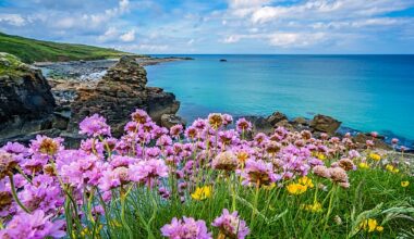 A popular coastal destination has been named the most breathtaking in the UK - and it has stunning views to rival Malibu (Pictured: St Ives, Cornwall)