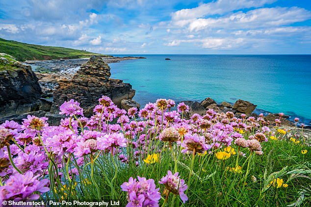A popular coastal destination has been named the most breathtaking in the UK - and it has stunning views to rival Malibu (Pictured: St Ives, Cornwall)