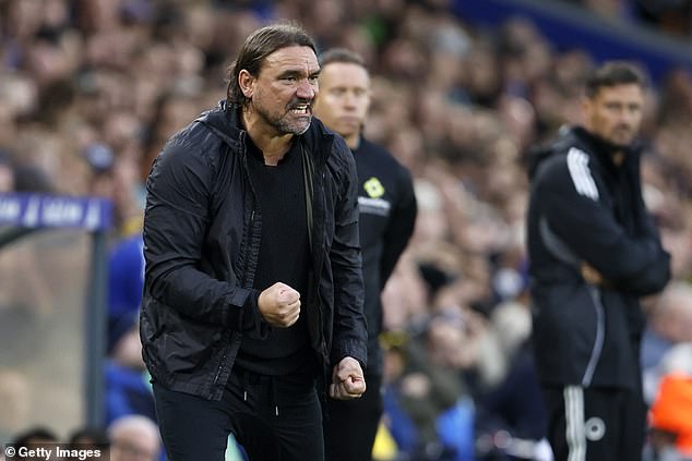 Daniel Farke will be looking at his squad with some fear after the end of the summer window