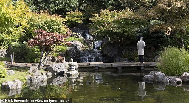 An area of water and stunning wildlife at Holland Park in the city of London