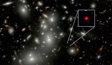 Scientists may have made the first direct measurements of a primordial black hole, which formed in the first few moments after the Big Bang, by examining a 'Little Red Dot' spotted by the James Webb Space Telescope (pictured)