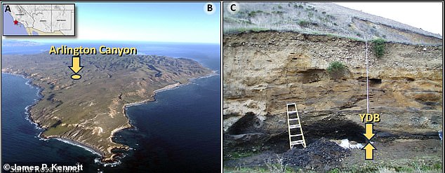 Arlington Canyon yielded Clovis-era human remains beneath a black mat, showing a 600- to 800-year gap before subsequent human occupation, highlighting a post-Clovis hiatus even in potential refuges