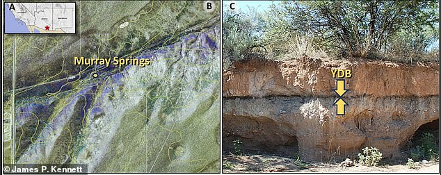 Murray Springs preserves terminal Clovis artifacts and extinct megafauna remains. Those are also under a black mat, which contained a butchered mammoth and hundreds of footprints rapidly buried after the proposed Younger Dryas event