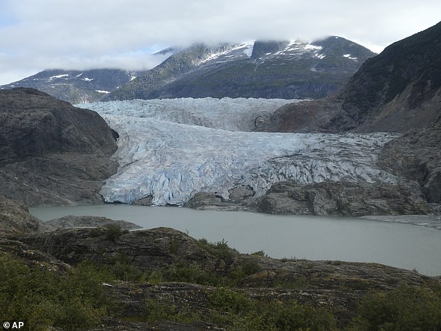 Glacial retreat has led to the rapid growth of 'proglacial' lakes such as Mendenhall Lake (pictured). Scientists say that Alaska is now becoming a 'new lake district'
