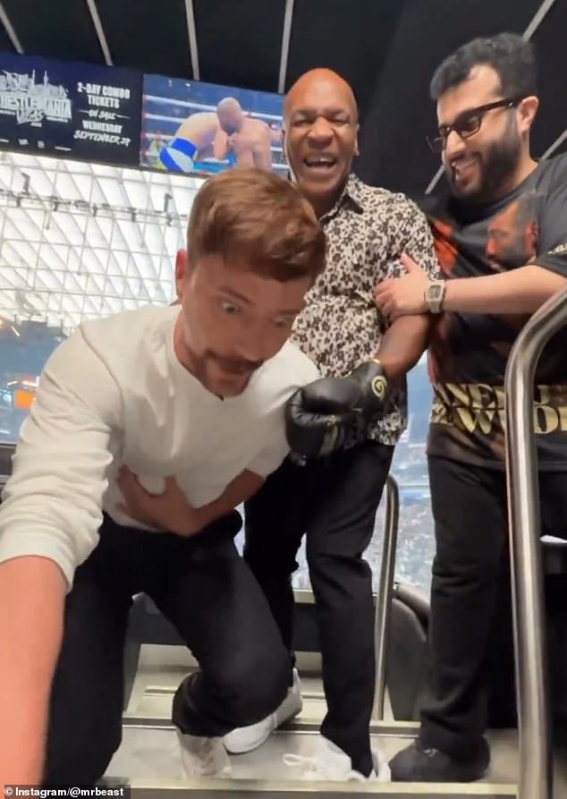Tyson erupted with laughter after delivering the body shot to MrBeast, who toppled over