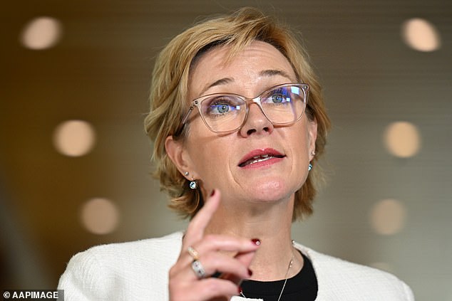 Warringah independent MP Zali Steggall (pictured) liked an Instagram post which stated that 'violence is sometimes necessary' following the death of Charlie Kirk