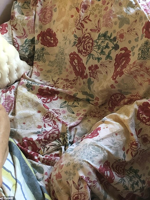 Impressive-Morning-5 posted a photo of their floral chair and encouraged viewers to help them locate their equally flower-y lighter that seemed to blend right in