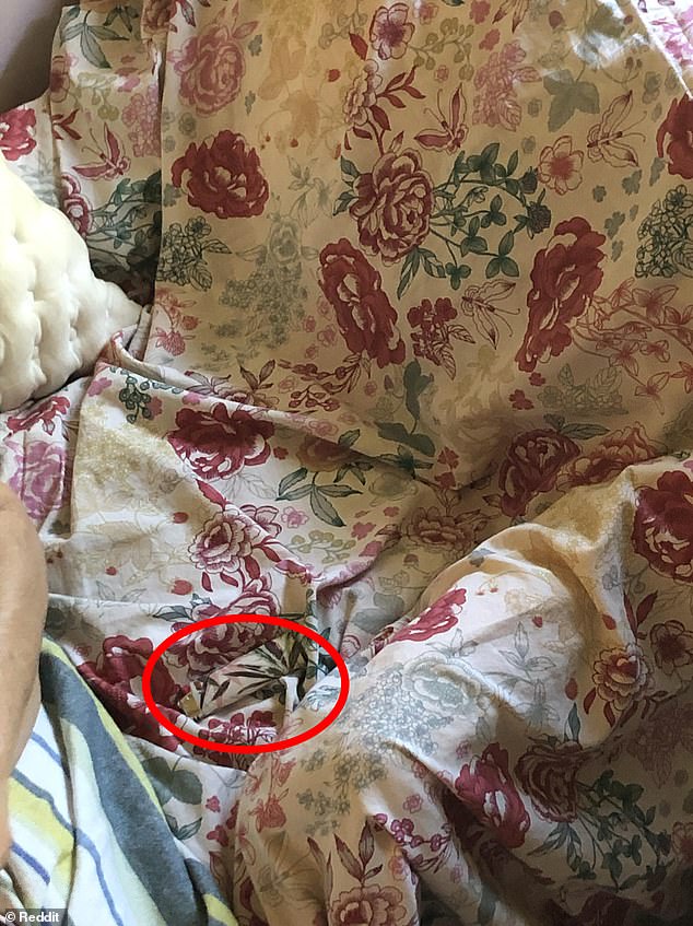 After finding the lighter, one commenter joked that it's easy for a smoker to find a lighter anywhere