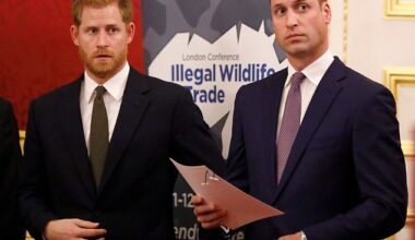 Prince William and Prince Harry together in 2018 opening the Illegal Wildlife Trade Conference