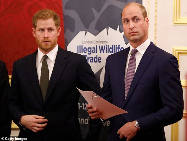 Prince William and Prince Harry together in 2018 opening the Illegal Wildlife Trade Conference