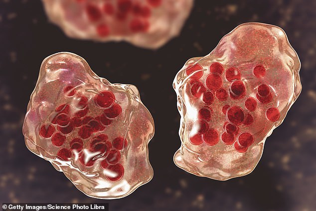 Measles symptoms can include a fever, tiredness, cough, runny nose and red inflamed eyes. Those who contract the illness can also experience a blotchy red rash