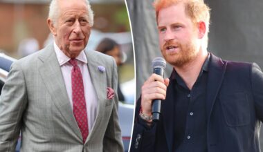 Royal family 'saddened' by Prince Harry’s claim that courtiers are 'sabotaging' his relationship with King Charles: report