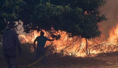 Unions warns of ‘woefully low’ firefighter numbers as EU faces record wildfires