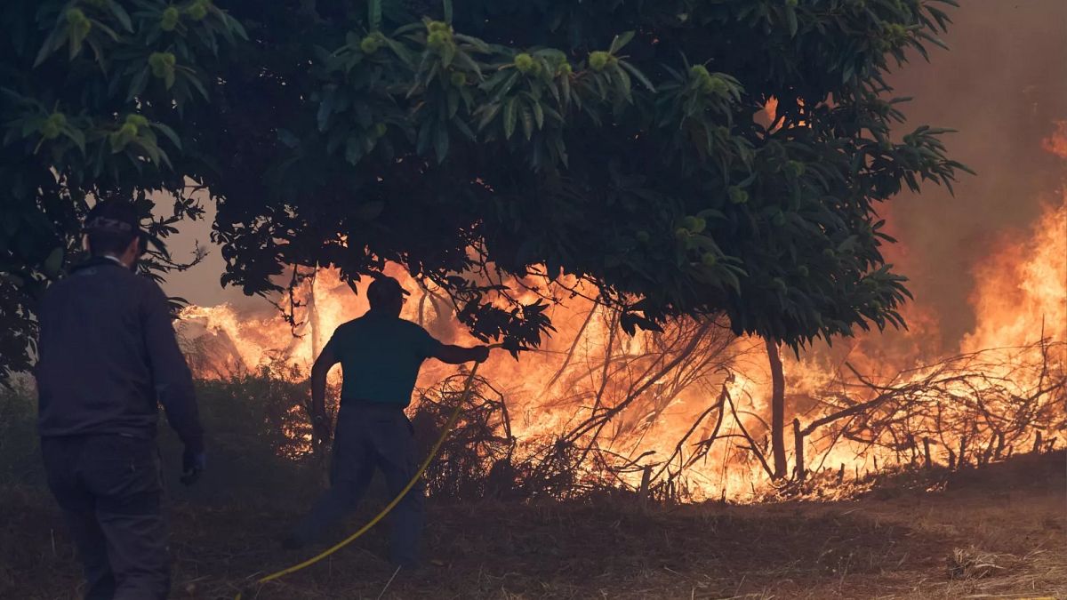 Unions warns of ‘woefully low’ firefighter numbers as EU faces record wildfires