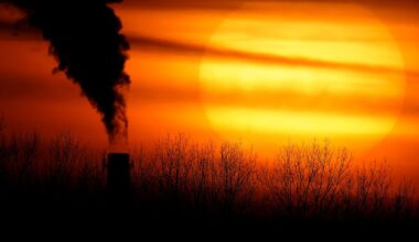 EU decision on 2040 climate target to be delayed, diplomats say