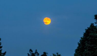 How to view the total lunar eclipse in London this weekend