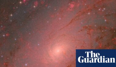 Astronomy photographer of the year 2025 – winners and finalists - The Guardian