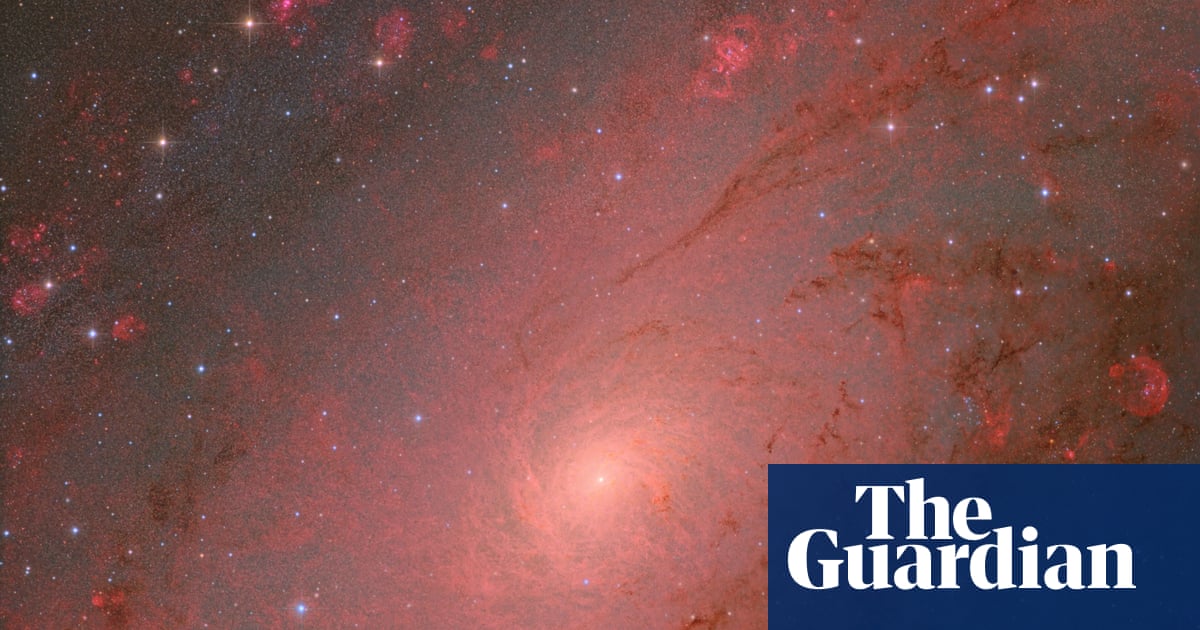 Astronomy photographer of the year 2025 – winners and finalists - The Guardian