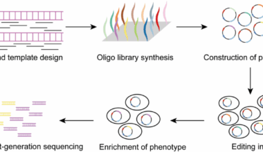 Fueling chromosomal gene diversification and artificial evolution with CRISPR | Genome Biology
