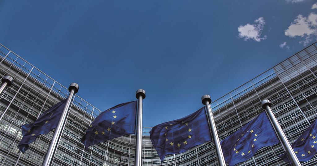 Investors weigh in on future of EU sustainability disclosures rules | News