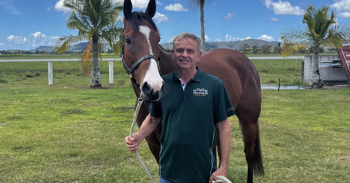 McColm eyes off Magic Millions with Pareto :: Racing Queensland