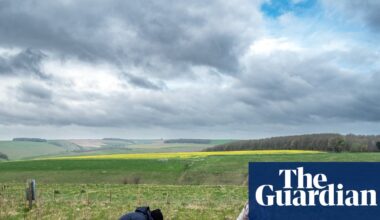 People gathered for great meat feasts at end of British bronze age, study shows | Archaeology