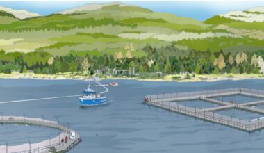 Loch Long Salmon planning permission U-turn hailed