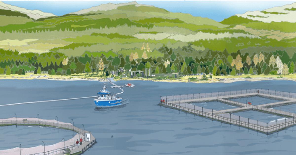Loch Long Salmon planning permission U-turn hailed