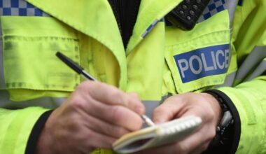 Police appeal after 'devastating' theft of 59 sheep