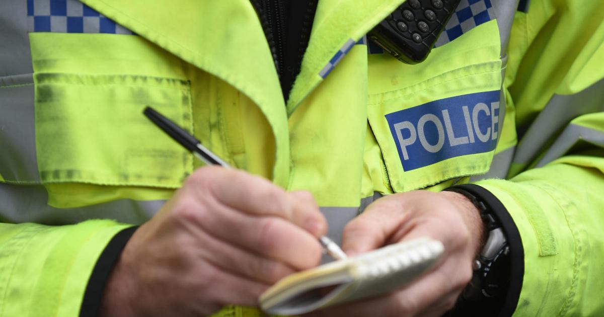Police appeal after 'devastating' theft of 59 sheep