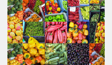 Spain leads EU in fruit and vegetable production