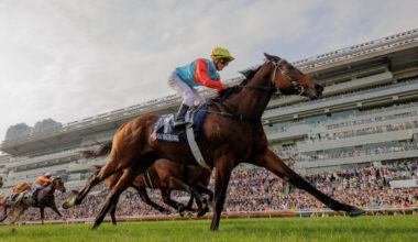 Wally Pyrah previews the 2025/26 Hong Kong season