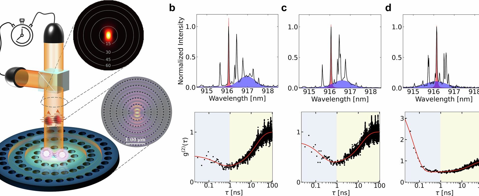 Quantum entanglement lasts 600 times longer in elusive dark states, study finds
