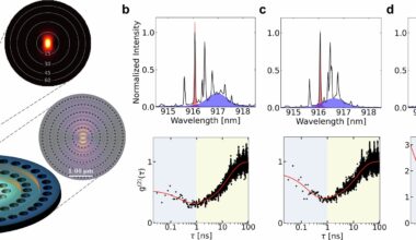 Quantum entanglement lasts 600 times longer in elusive dark states, study finds