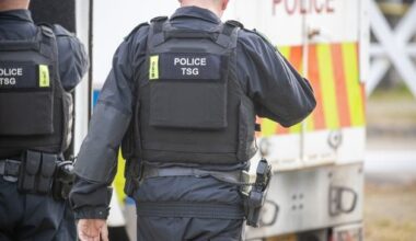 Lisnevenagh Road: Six vehicles burnt outside Ballymena home in race hate attack