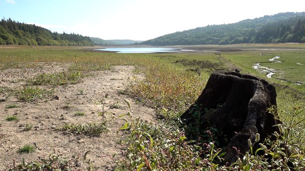 A stone arch, thought to be part of Broomhead Bridge, also known as Cooper Carr Bridge, which spanned Ewden Beck close to a corn mill, has been revealed at the reservoir, after it was lost when the lake was constructed.