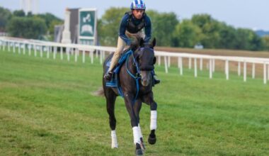 Ascot prepares Shisospicy for KY Downs’ Music City