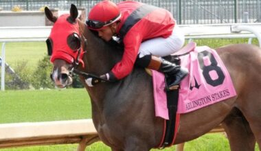 Mercante goes from Cinderella to expectation to a favorite in G2 Kentucky Turf Cup