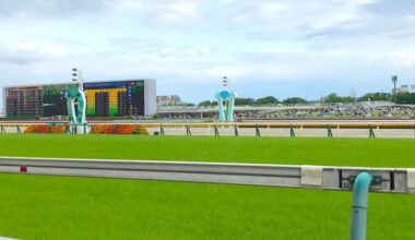 Temptations of smartphones, high-calorie foods mean no new horse racing jockeys for Japan next year