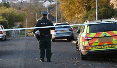 Ballydugan Road, Downpatrick: Security alert which led to homes being evacuated in Co Down was a hoax, police say