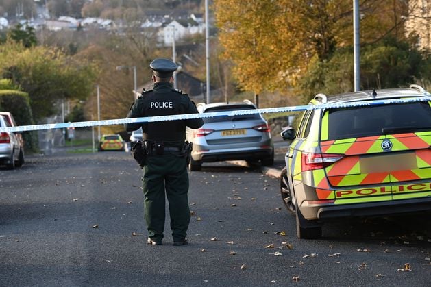 Ballydugan Road, Downpatrick: Security alert which led to homes being evacuated in Co Down was a hoax, police say