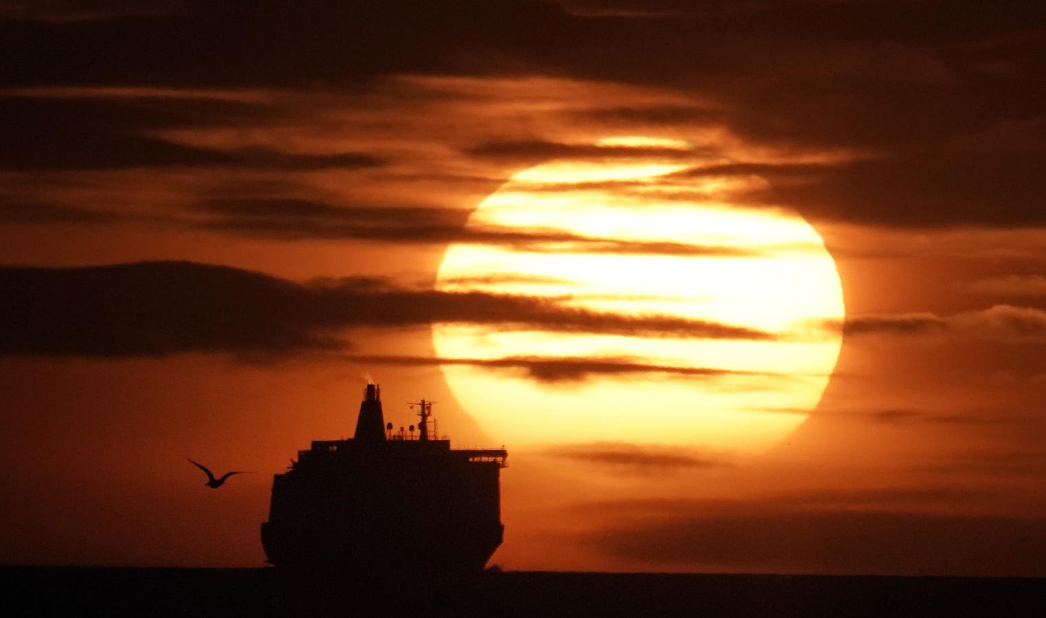 Cruise Ferries Are Northern Europe’s Bargain Travel Secret