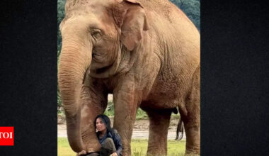 Viral video of elephant and caretaker highlights deep animal emotions
